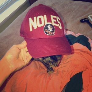 Seminoles FSU hat